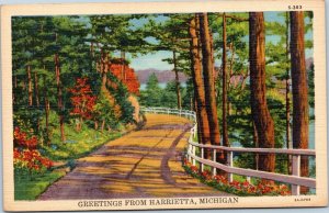 postcard Greetings from Harrietta, Michigan--forest road by lake