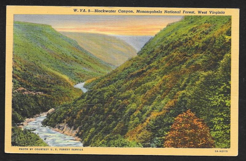 Mountains Blackwater Canyon Monongahela National Forest West Virginia Used c1945