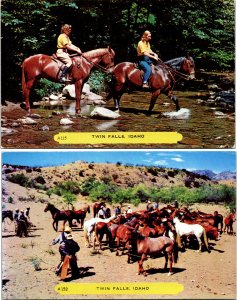 Lot of 2 Cowgirls Cowboys Twin Falls Idaho Postcards