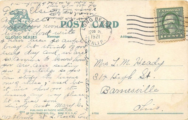CALIFORNIA c1910 Postcard Fruit Ranch Posted From Long Beach