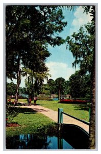 Glass Bottom Boats Silver River Silver Springs Florida c1966 Postcard