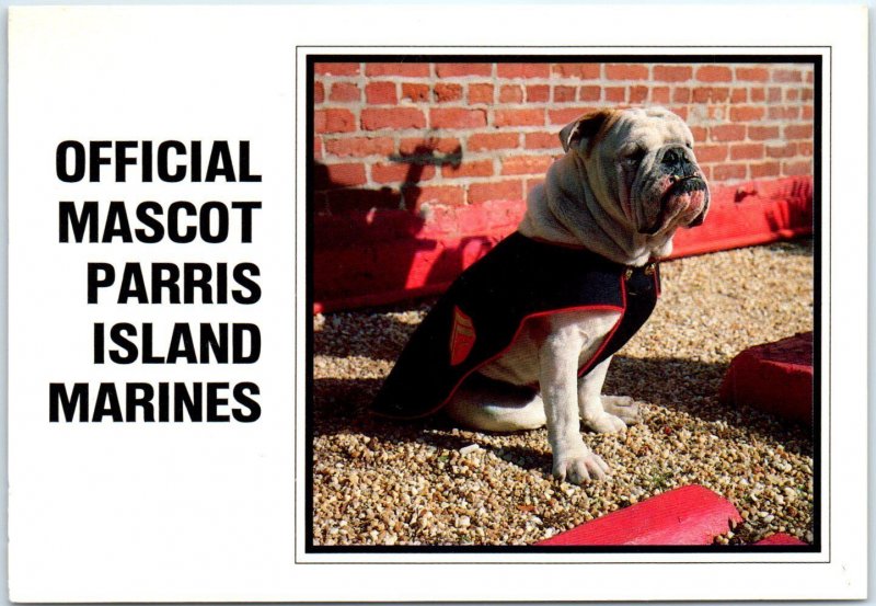 Official Mascot Of Parris Island Marine - Marine Corps Recruit Depot - S. C.
