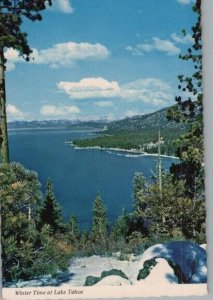 Winter Tine at Lake Tahoe Continental Chrome Postcard
