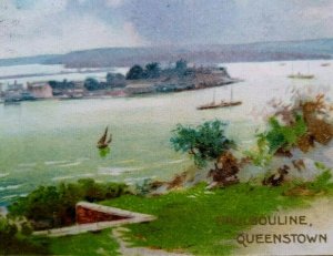 St. Patrick's Day Postcard Haubouline Queenstown Ireland Winsch Back 1910 German