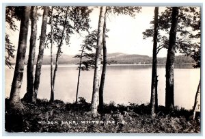 c1920's Wilson Lake Mountains Shoreline Wilton Maine ME Photo RPPC Postcard