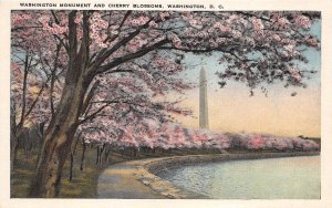 Washington DC 1930s Postcard Washington Monument & Cherry Blossoms 