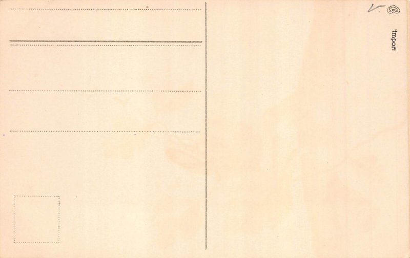 Spring Greetings Maybug Climbs Tree Birch Leaf Insect vintage postcard C316