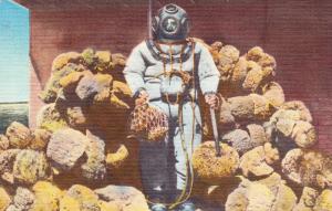 Vintage 1950s Postcard, Diver Dive Suit Sponge Tarpon Springs, Florida A22