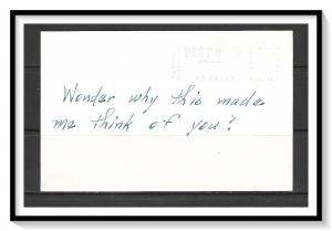 Minnesota, Pequot Lakes - Deer - Undivided Back - [MN-007]