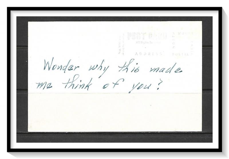 Minnesota, Pequot Lakes - Deer - Undivided Back - [MN-007]