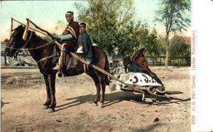 Indian US mail Carrier Unused very light crease left bottom corner, minimal c...