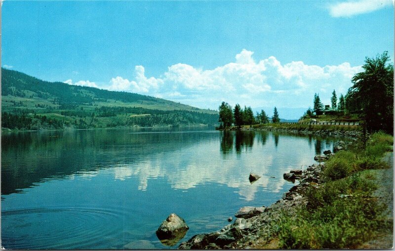 Shores Woods Lake Swiss Village Resort Postcard Dexter West Nyack NY New York  