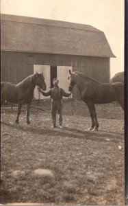 Horses Man With Horses Harley Taylor Real Photo