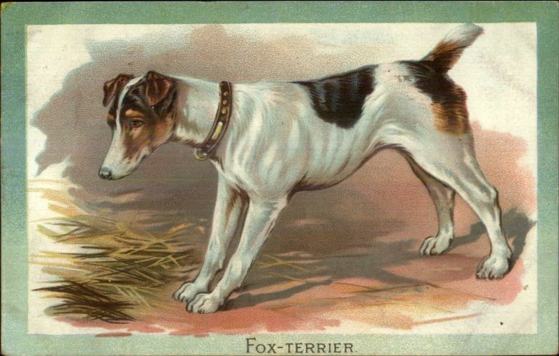 TUCK Fox Terrier Dog c1910 Embossed Postcard