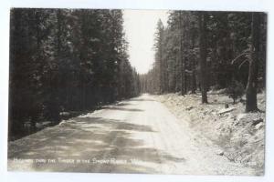 RP Highway Thru the Timber in the Snowy Range Wyoming WY