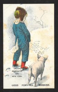 VICTORIAN TRADE CARD Crown Medicated Gin Boy 'Spelling' Snow