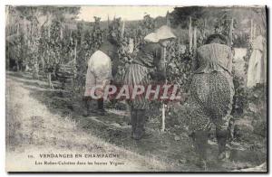 Old Postcard Folklore Wine Harvest Vine Champagne Panties dresses in tall vin...