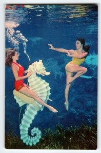 Weeki Wachee Florida Postcard Two Swimsuit Mermaids Underwater Seahorse Chrome
