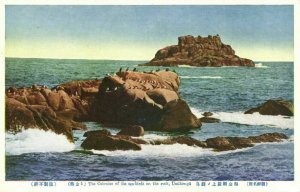 korea coree, UMIKONGO, Sea-Birds on the Rocks of Umi-kongo (1910s) Postcard