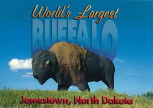 Worlds Largest Buffalo - Jamestown ND, North Dakota - Roadside