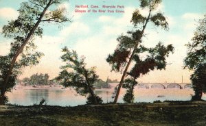 Vintage Postcard 1910's Riverside Park Glimpse Of River From Grove Hartford Conn