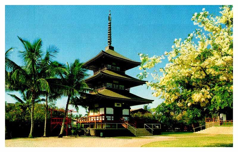 Postcard BUILDING SCENE Maui Hawaii HI AP0104