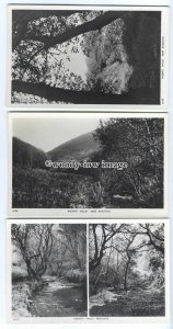 tb0231 - Cornwall - Different Views in Valency Valley nr Boscastle- 3 postcards