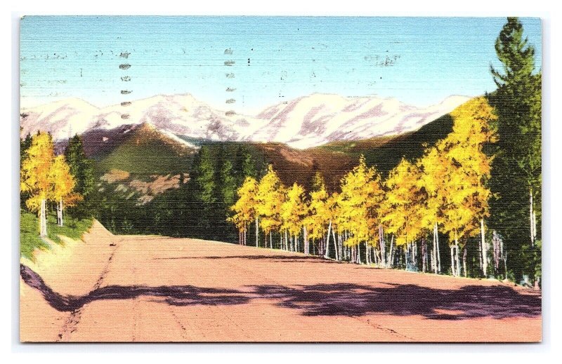 Autumn In The Rockies Colorado c1960 Postcard 