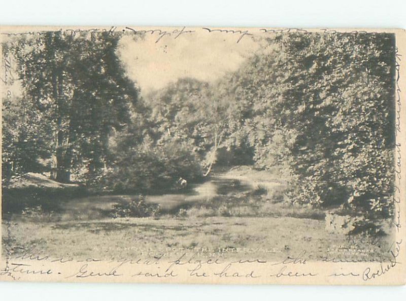 Pre-1907 INTERVALE RIVER Rochester New York NY AD8671