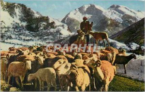 Old Postcard Paintings Pyrenees A herd in the mountains Sheep Breeding
