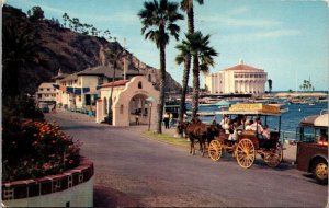 PC Looking Northwest from Crescent Avenue Avalon Catalina Island California