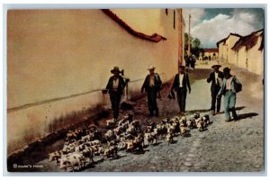 Chichicastenango Guatemala Postcard Little Pigs Going Out To Market c1950's