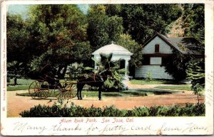 California San Jose Horse and Carriage In Alum Rock Park 1906