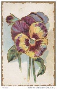 Embossed, colored pansy, 10-20s