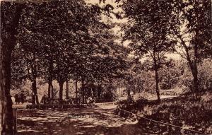 BR46480 Allesund park   Norway