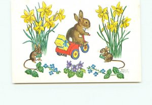 Buy Postcard Easter Bunny Mouse Presents Molly Brett