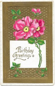 US. Used.Embossed Birthday Card. Mailed from Indiana 1910.