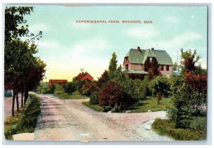 c1910 Experimental Farm Brandon Manitoba Canada Unposted Antique Postcard