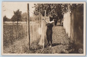 Langenargen Germany Postcard Drying The White Fish 1921 Unposted RPPC Photo