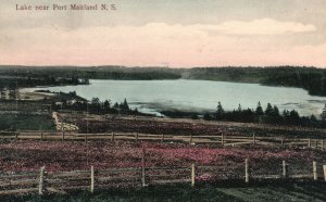 Vintage Postcard 1910's Lake near Port Maitland N. S. Nova Scotia Canada CAN