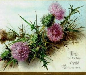 1880's Raphael Tuck Tri-Folder Christmas Card Eden Hopper Poem Pink Thistle 7D