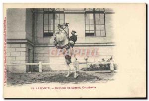 Old Postcard Saumur Horse Equestrian Jumper freedom in Courbette