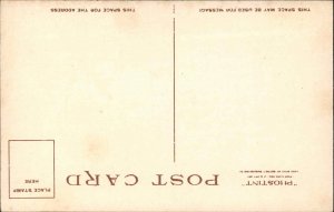 Nantucket Mass MA Sharp House H Marshall Gardiner Detroit Pub Vintage Postcard