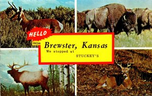 Kansas Hello From Brewster Showing Buffalo Elk Deer & Antelope We Stopped At ...