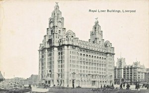 LIVERPOOL ENGLAND~ROYAL LIVER BUILDINGS-PIER HEAD POSTCARD