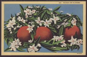 Oranges and Blossoms Postcard