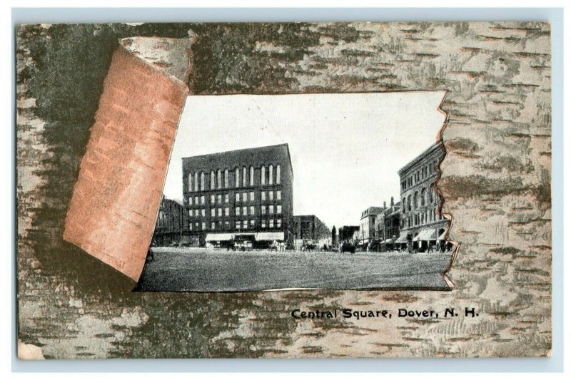 C. 1907 Bark Border. Central Square, Dover, N.H. Postcard F81 