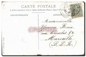 Postcard Old Cat Cats Kitten Bug