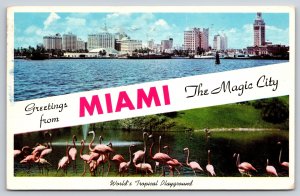 Miami FL Banner Greetings~Miami Skyline~Flamingos At Parrot Jungle~1959 PC