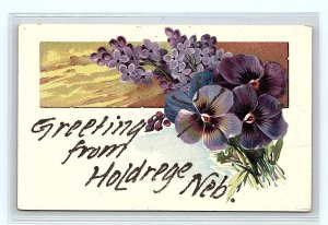 Greetings From HOLDREDGE, NE Nebraska ~ c1910s ~ Phelps County  PFB  Postcard